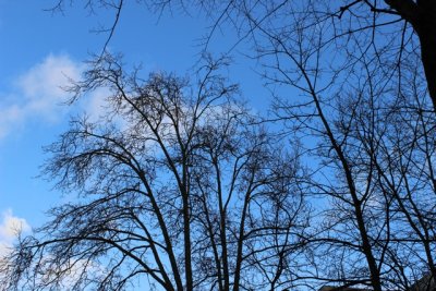 IMG_0237.jpg