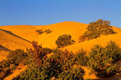 California golden hills sunset  _MG_9233.jpg