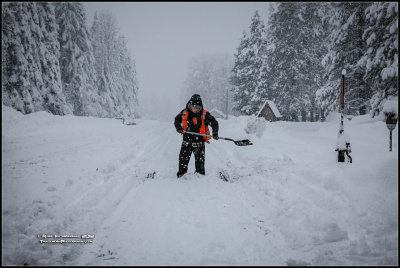 Snow Fight