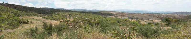 Madagaskar 3.jpg