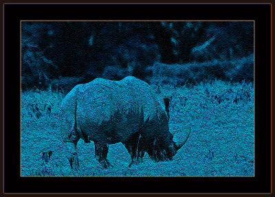 119=IMG_0257=Manipulated-White-Rhinoceros.jpg