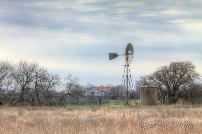 On the Back Roads of Texas 7051_23