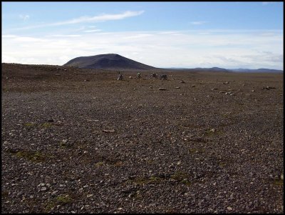 Og nú var grunur okkar staðfestur. Við vorum komnir allt of langt norður.