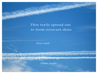 New vs Old Trails