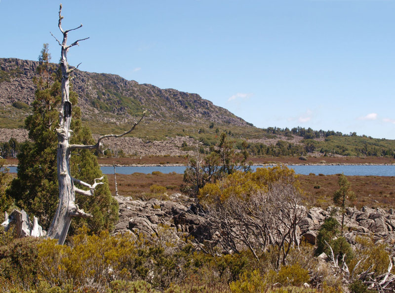 Pine Lake