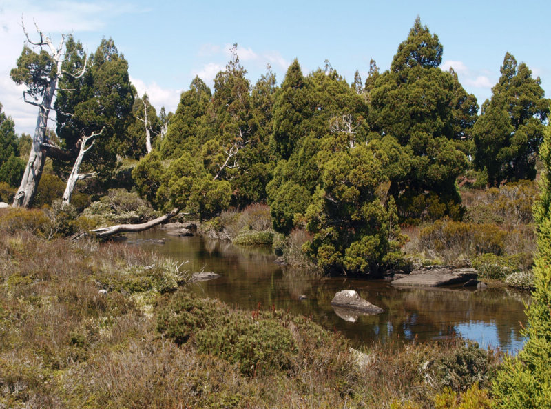 Outflow from Pine Lake
