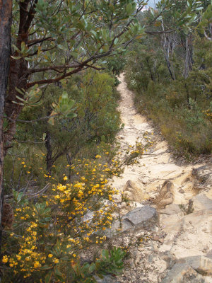 The gentle down hill beginning