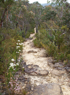 Stll a long way to go
