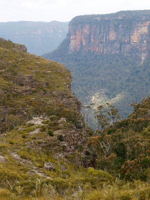 Looking east down the Grose Valley