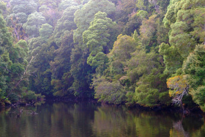 Pieman River, Tasmania