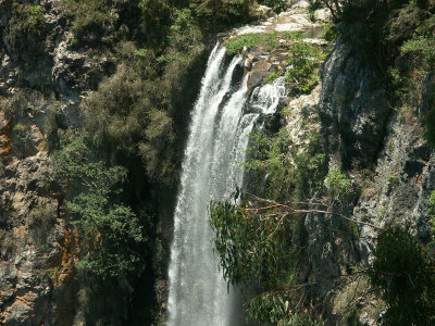 Purlingbrook Falls  2