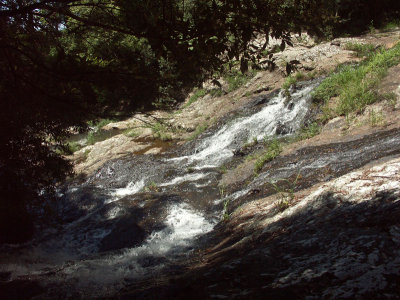 Above Purlingbrook Falls