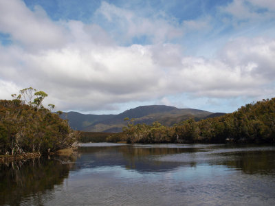 278: Melaleuca Creek