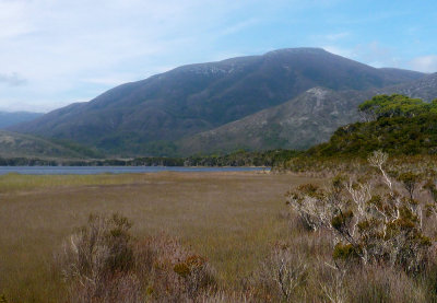 Shore of Melaleuca Lagoon