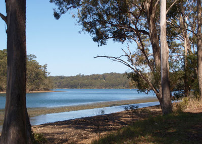 Lake Wagonga