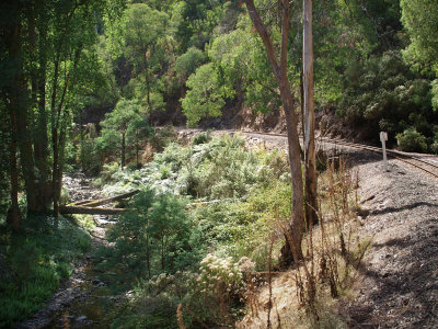 Seen from the train window