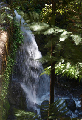 Liffey Falls