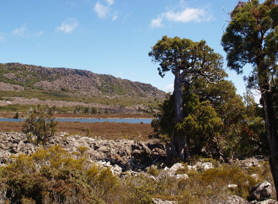 Pine Lake