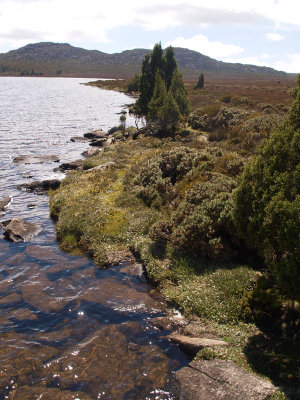 Pine Lake shoreline