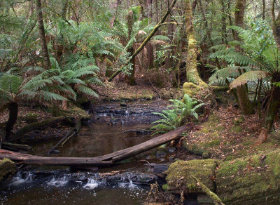 Tyenna River