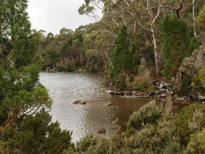 Lake Dobson  2