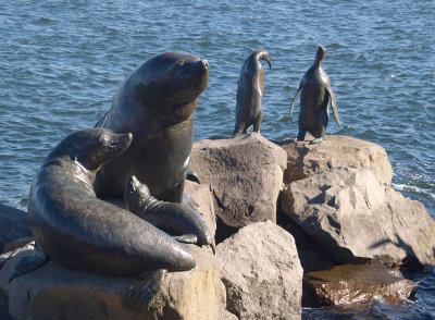 Bronze seals and penguins