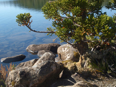 Lake Osborne, Hartz Mountains National Park, Tasmania