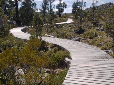 Boardwalk, Pine Lake