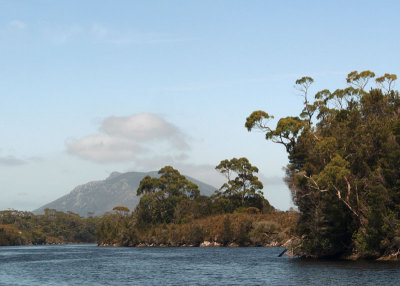 Mount Rugby, from Melaleuca Creek