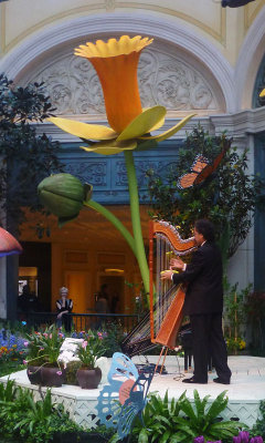 Real musician, fake daffodil