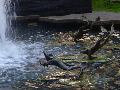 Bronze frogs