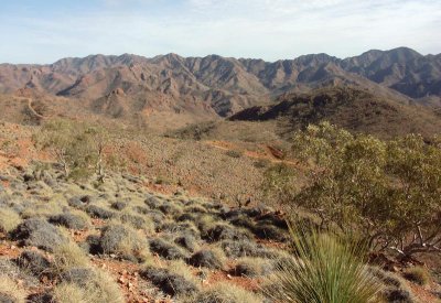 532: View south from Sillers Lookout - 2