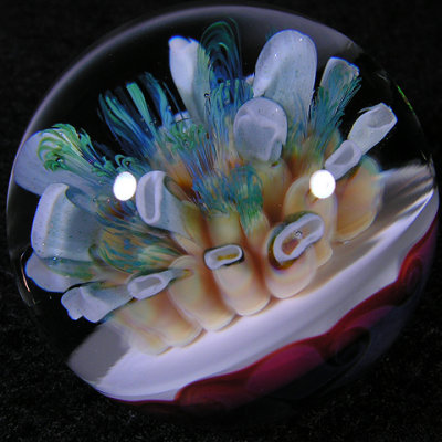 Symphonic Reef Size: 1.13 Price: SOLD 