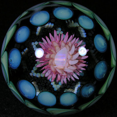 A tri-collab, with one of Robin's dot stars in the middle.