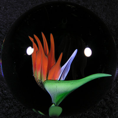 Bird of Paradise  Size: 1.62  Price: SOLD