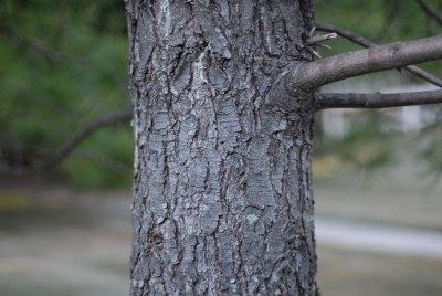 DSC_0018_1212.jpg