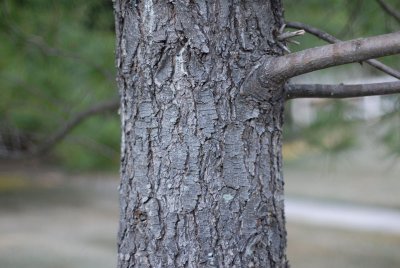 DSC_0019_1214.jpg