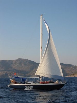 124Ballena.jpg
