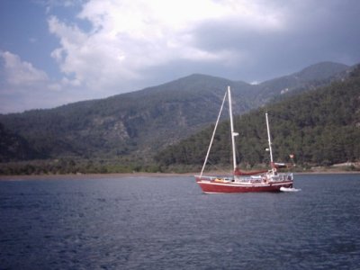 300067.jpg