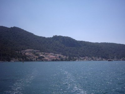 900178.jpg
