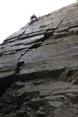 IMG_6642.jpg