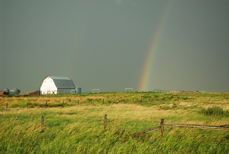 HIGH RIVER ALBERTA