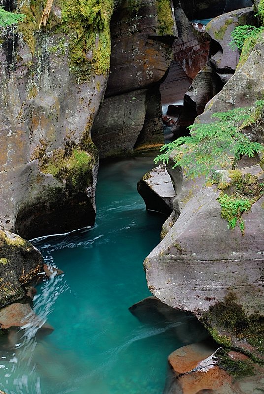 GLACIER N.P GORGE