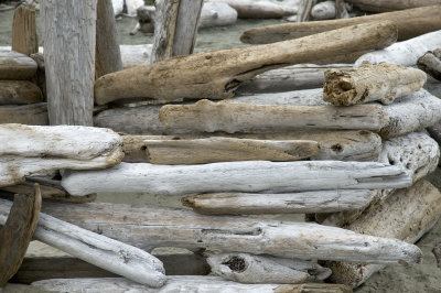 Logs