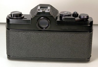 7457.JPG