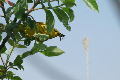 IMG_8791_2.jpg