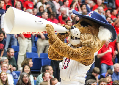 Arizona Mascot Wilbur the Wildcat leads the crowd in a cheer