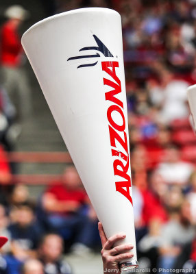 Arizona megaphone held high during the game