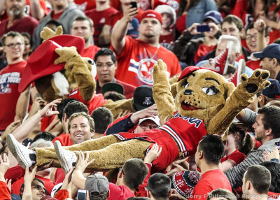 Cats Mascot Wilma crowd surfs in the student section