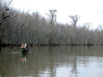 The Big Woods, Arkansas 2006